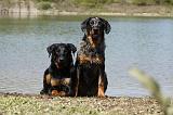 BEAUCERON 638